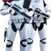 Hot Toys 1/6 First Order Stormtrooper Officer & Stormtrooper Set Star Wars Episode VII The Force Awakens MMS335 Sixth Scale Figures